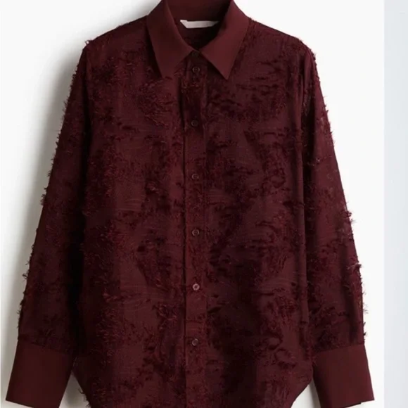 H&M Jacquard Weave Textured Burgundy Button-Up Blouse - Picture 4 of 12